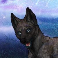 Xeada-Tryptophan2 Headshot