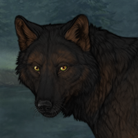 Skoll Headshot