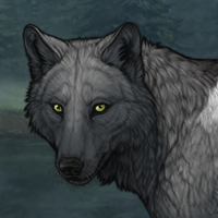 Wolf Headshot