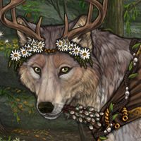 Wolf Headshot