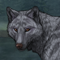 GrayStorm Headshot