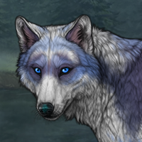 Skaði's Borealis ♧ Headshot