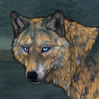 Wolf 4 Headshot