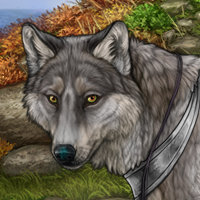 Wolf Headshot