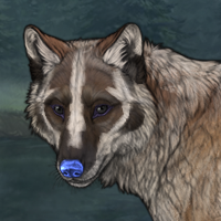 Badger'Scowl Headshot