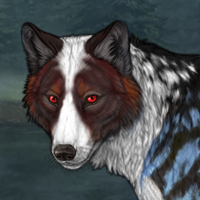 Woodland Spirit Headshot