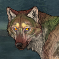 -Coigreach furs Headshot