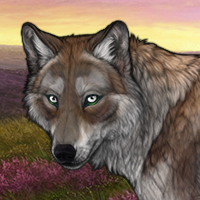 Aviva Headshot