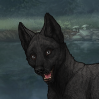 Biotite pup Headshot