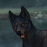 Blueschist Chase Headshot