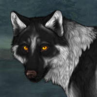 Wolf Headshot