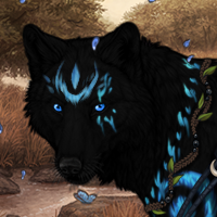 Wolf Headshot