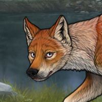 Foxtail Headshot