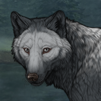 Wolf Headshot