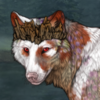 michi Headshot