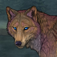 DarkWolf Headshot