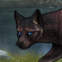 Blueschist Chase Headshot