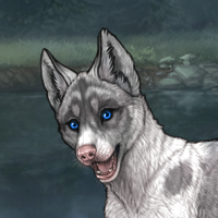 Piebald Headshot