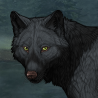 Wolf Headshot