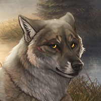 Wolf Headshot