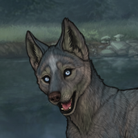 R&C T2 Husky Eyes Headshot