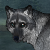 G2 Grulla Novus 482 Headshot