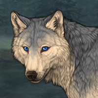 Wolf Headshot