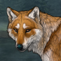 Foxglove Headshot