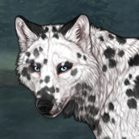 Dalmation Headshot