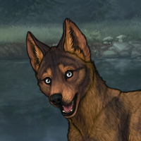 luppin male pup Headshot