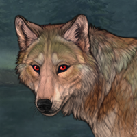 Wolf Headshot