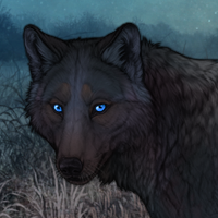 Blue Night Headshot