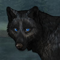 Wolf Headshot
