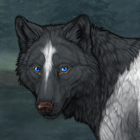 Wolf Headshot