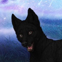 (Gray wolf name)'s Child Headshot