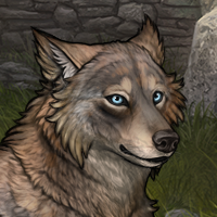 Wolf Headshot