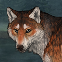 Foxfire Headshot