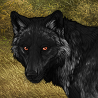 Wolf Headshot