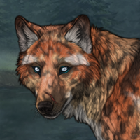 Rustpelt Headshot