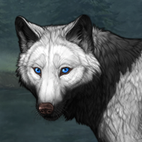 Wolf Headshot