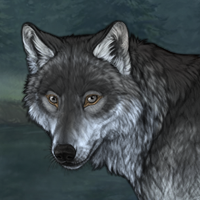 Wolf Headshot