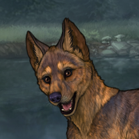 Enclave Pup Headshot