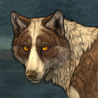 Wolf Headshot
