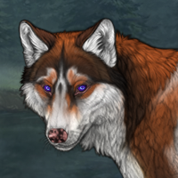 fox bio indigo Headshot
