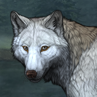 Wolf Headshot