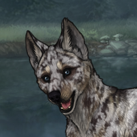 Storm Headshot