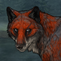 Wolf Headshot