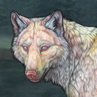 Rayden Headshot