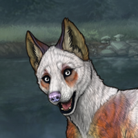 Fox hound Headshot
