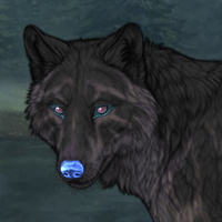 Melanism Carrier Headshot